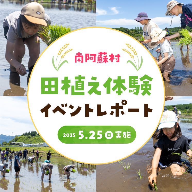 【イベントレポート】人気ご当地タレント高村公平さんや南阿蘇村村長も参加！『南阿蘇村 田植え体験イベント2025』開催！ ～熊本の自然の恵みを五感で楽しむ田植え体験～